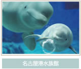 名古屋市水族館